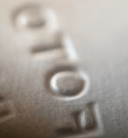 Four Letter Words Genesis