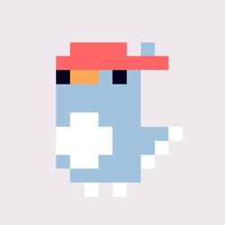 Fancy Parrots