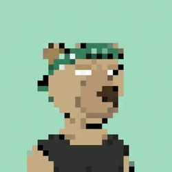 PxBears