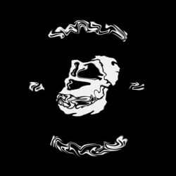 Liquid Dyor BAYC