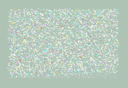 Generative Fingerprints
