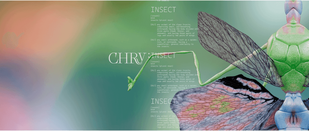 CHRYSALISM: INSECT