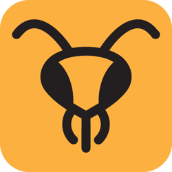 Honey Gang Bees