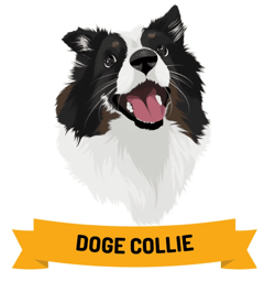 DogeCollie