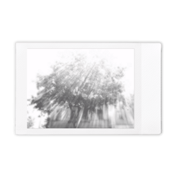 One Exposure