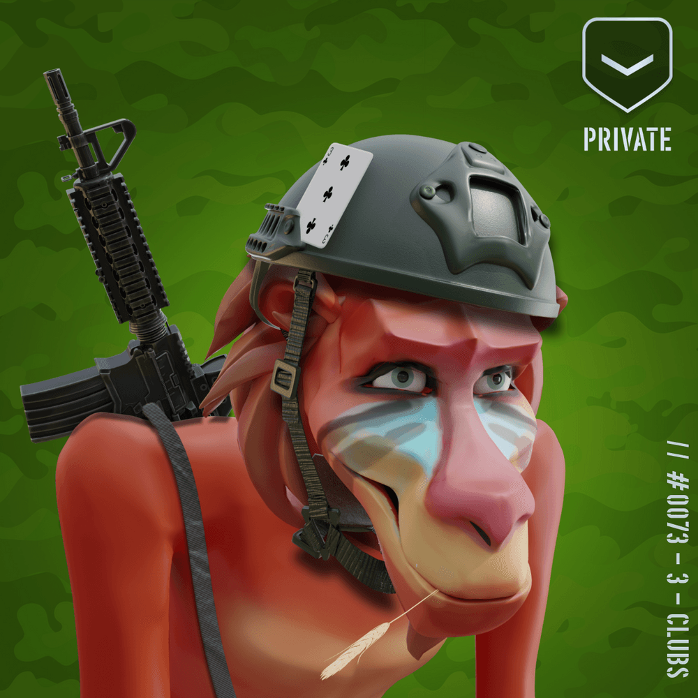 Happy Red Private Baboon #73