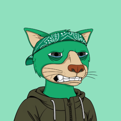 Okay Cats Official