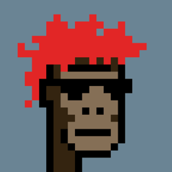 APE PUNKS NFTS