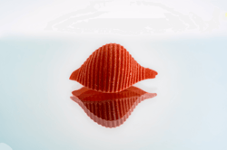geraldine-photo Editions