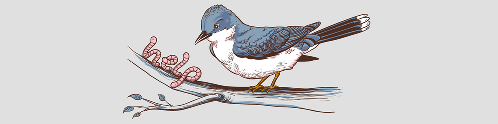 Flying Mouse 365