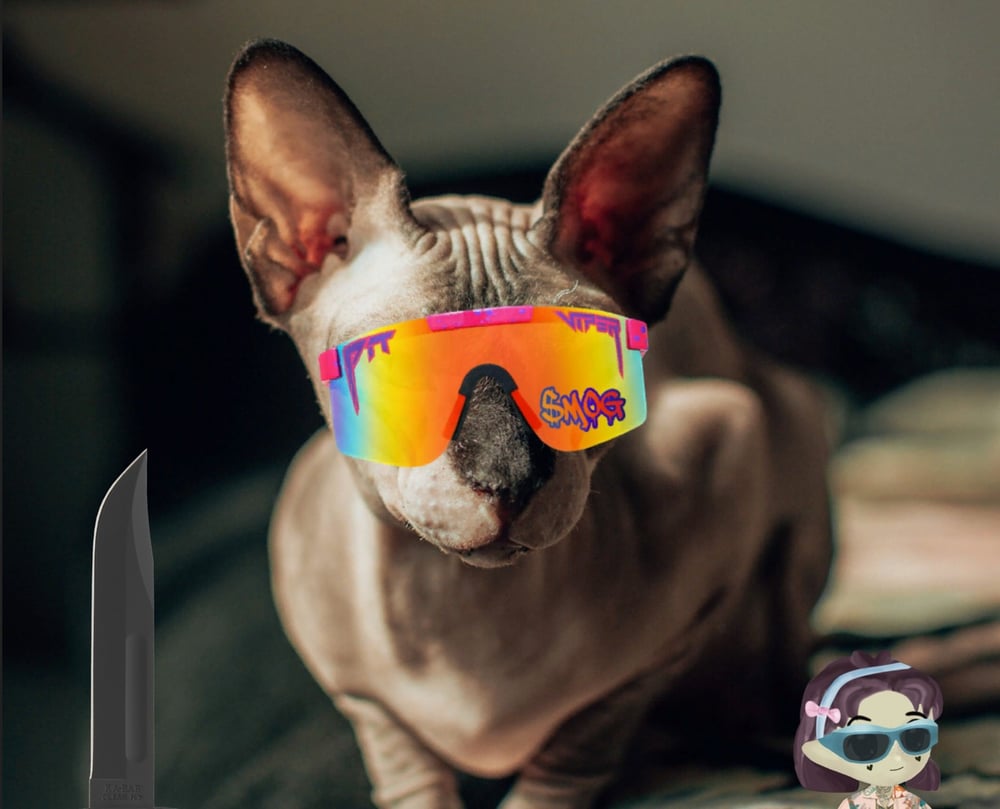 Bang Bang Cat Krewe