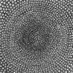 Consciousness