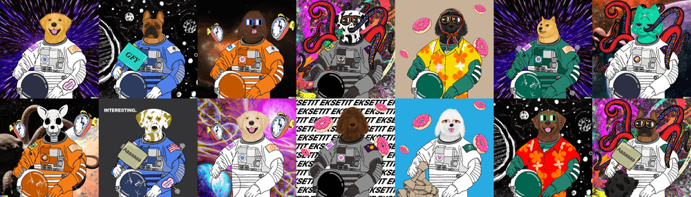 Sudonauts