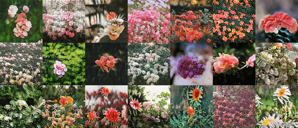 Noumena AI Florals