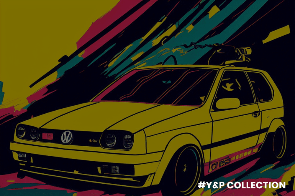 Y & P Collection