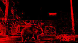 INVERSION OF NATURAL ORDER, BEAR