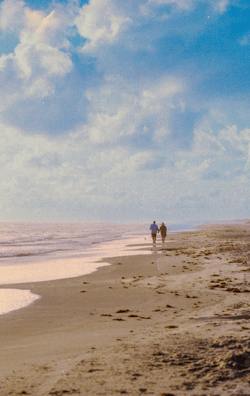 Gulf Coast Day Dream