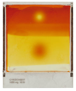 Polaroid Studies : The Photogram Experience
