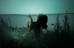 Human Pond