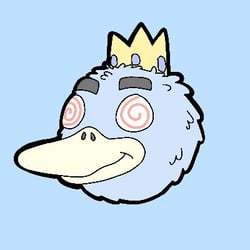 HypnoDuckz NFTs