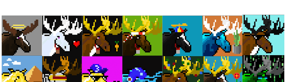 CustoMoose