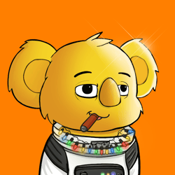 The Career Koalas