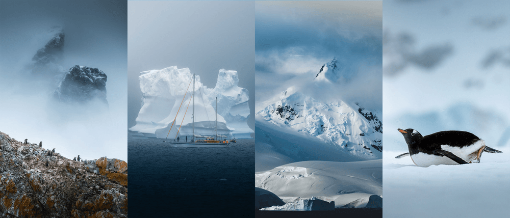Antarctica - The Last Continent by Dennis Schmelz