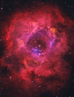 Star Flower V2 - old