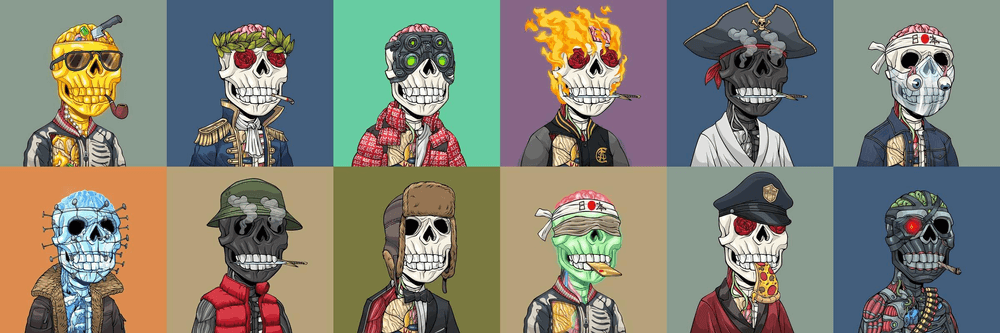 OG Anatomy Science Club