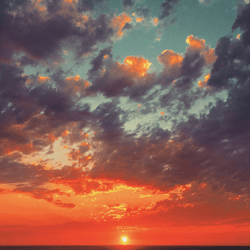Leftover Photos