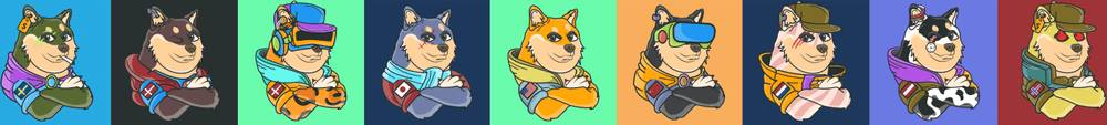 The Space Doge V1