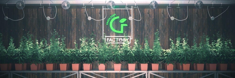 Genesis Greenz Pass