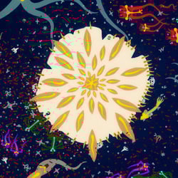 Schmryptozoa