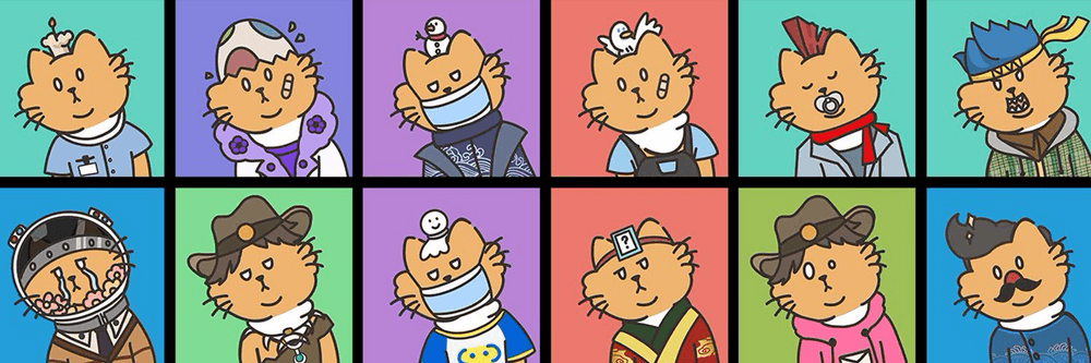 SCHRTDINGERs CAT NFT