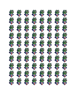 FlysAlpha x Checks