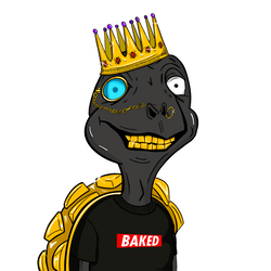 Baked Shellz