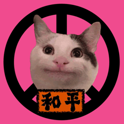 All this cat wants is world peace