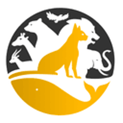 CryptoServal (since 2018)