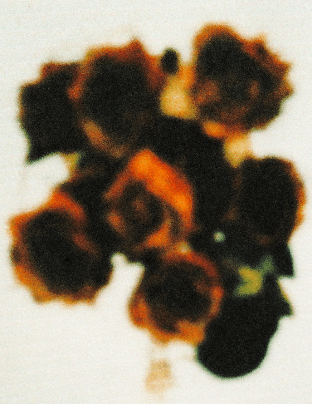 [WITHOUTYOU]