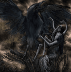 Nightmares & Hallucinations V2