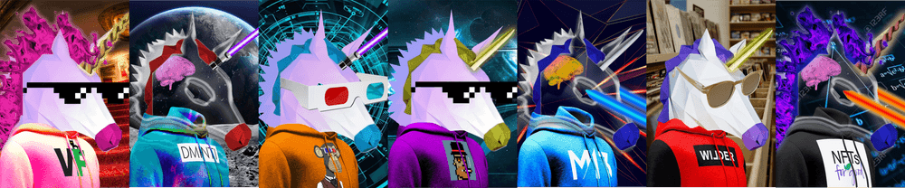 Project Unicorn c/o 2022