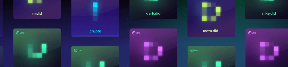 did - a udid network top level name