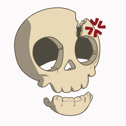 Skully Inc. by Kodak LDN