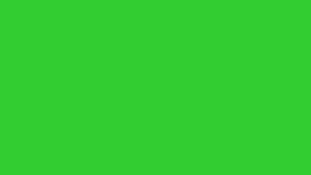 Digital Drip - 2022 Summer Collection