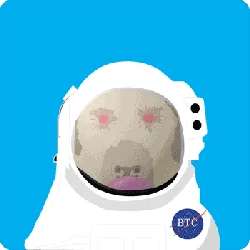 CryptoLabs: Thicc Bois