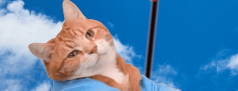 Keyboard Cat!