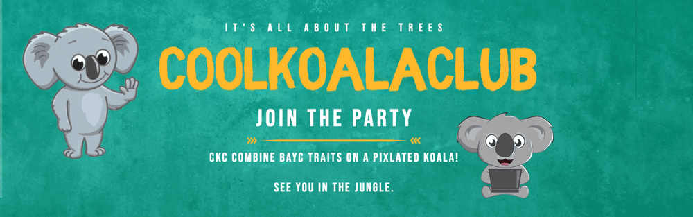 Coolkoalaclub