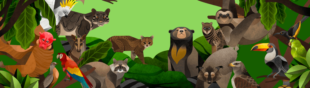 SaveTheEthimals