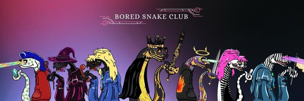 cam BoredSnakesClub