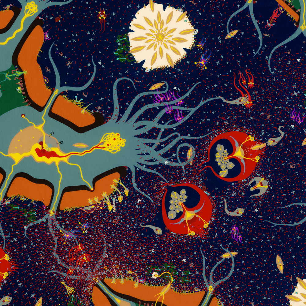 Schmryptozoa